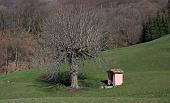 DAI PONTI DI SEDRINA AL MONTE ZUCCO Pasquetta lunedì 5 aprile 2010 -  FOTOGALLERY